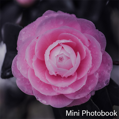 Mini Photobookのページ