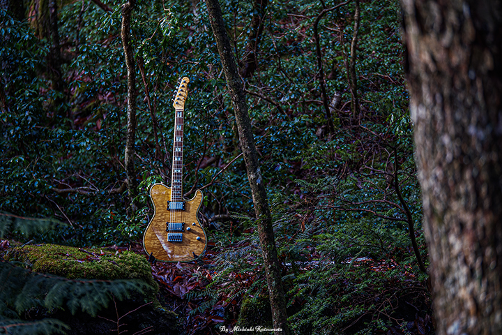 HISTORY at Aokigahara-Jukai / GH5S GH5S G VARIO 35-100mm F2.8 - f2.8 1/20s ISO:100 100mm